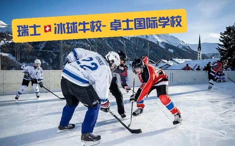 包含瑞士队球员个个亮眼，实现连胜助球队飞跃！的词条