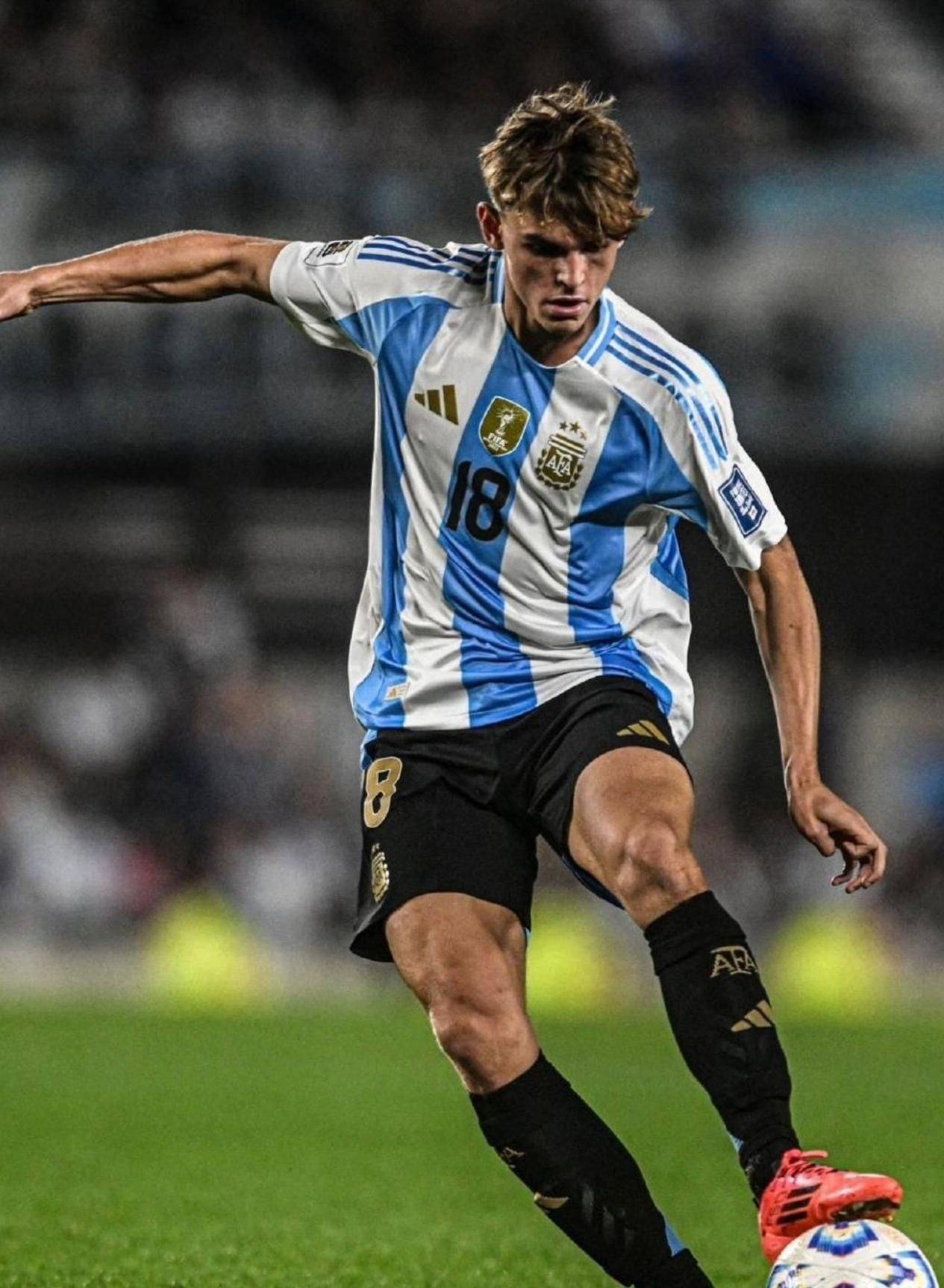 关于阿根廷球星遭遇伤病，未来或受影响的信息