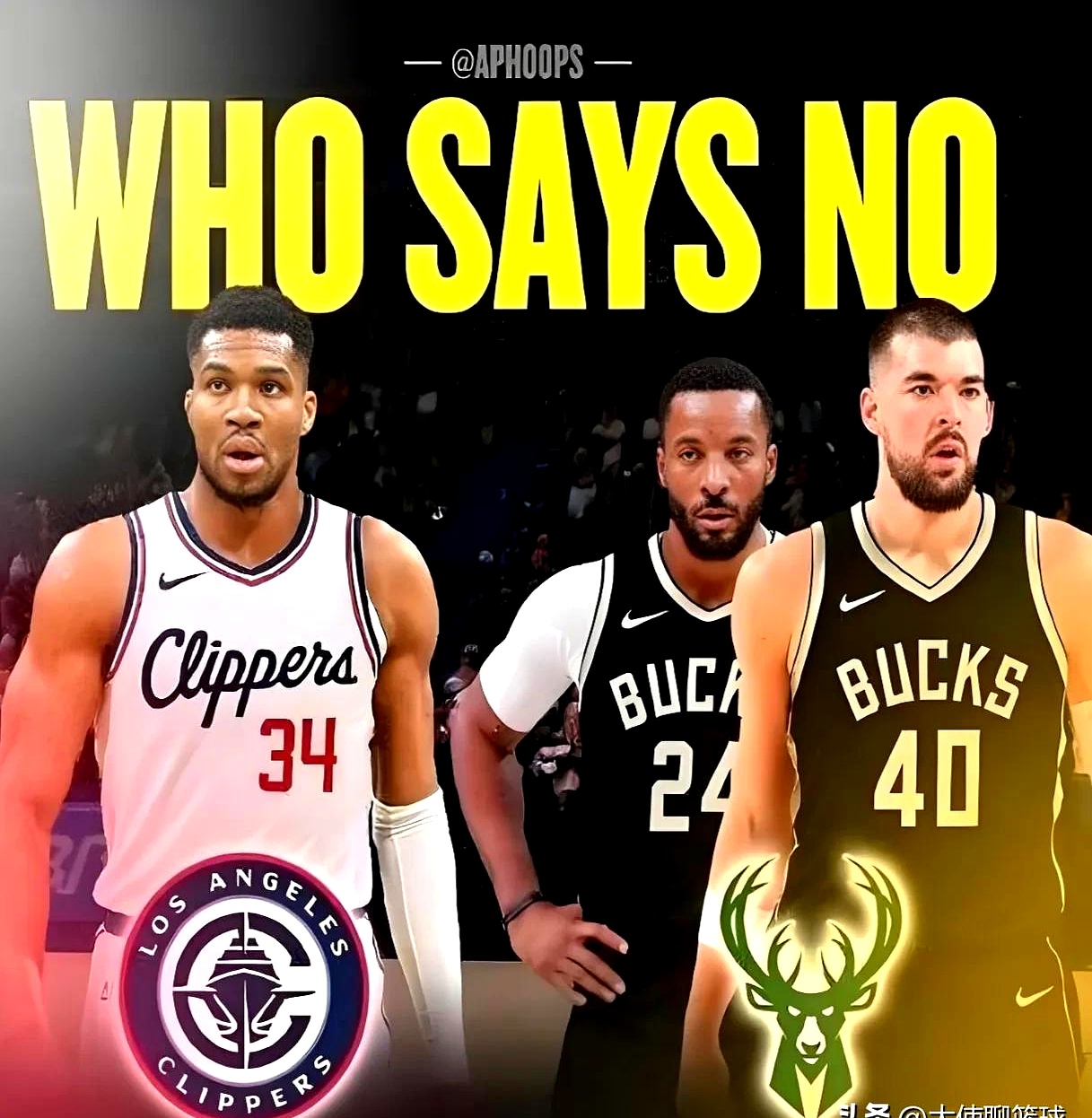 雄鹿横扫猛龙，字母哥发威领军